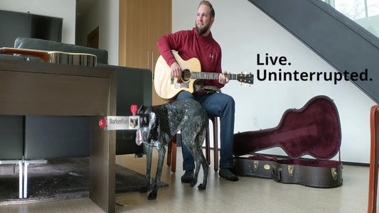 Cousin Curtiss rootstomp musician practicing the guitar while a dog is occupied with a bully stick in the Treat Clincher,