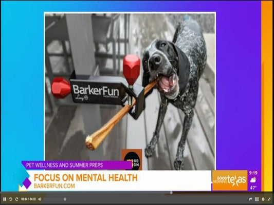 BarkerFun as seen on Good Morning Texas