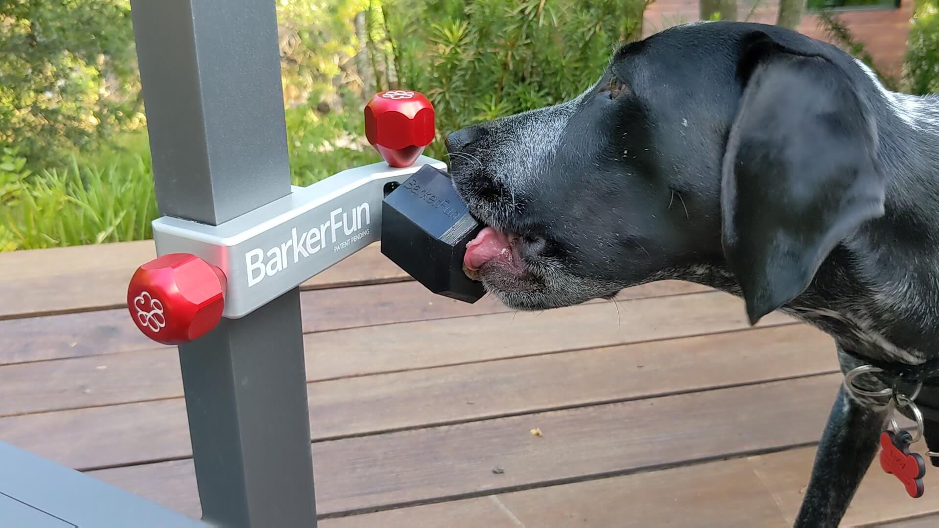 A rubber food container is attached to a treat clincher. a dog is licking the food in the dog food container.