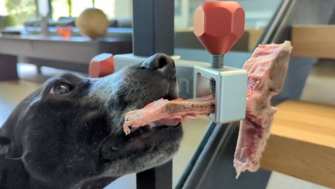 A steak bone is attached to a treat clincher. A dog is chewing on the steak bone.