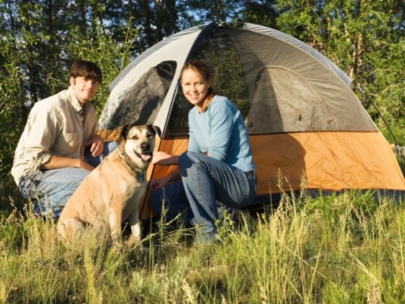 How to Prepare to Camp with Dogs – BarkerFun