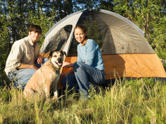How to Prepare to Camp with Dogs