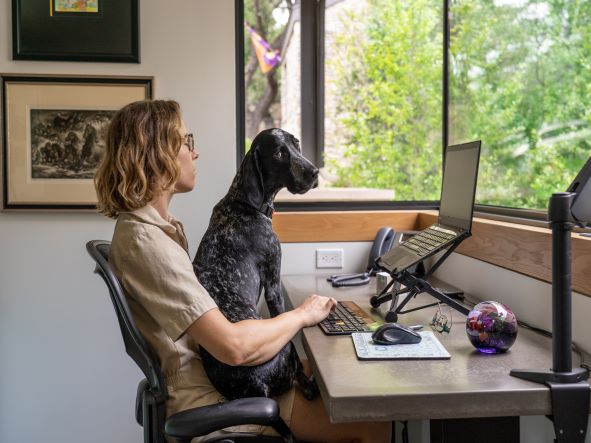 Person working on a computer with a dog sitting in their lap.