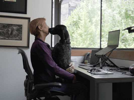 A dog sitting on the lap of a person trying to work on their computer.