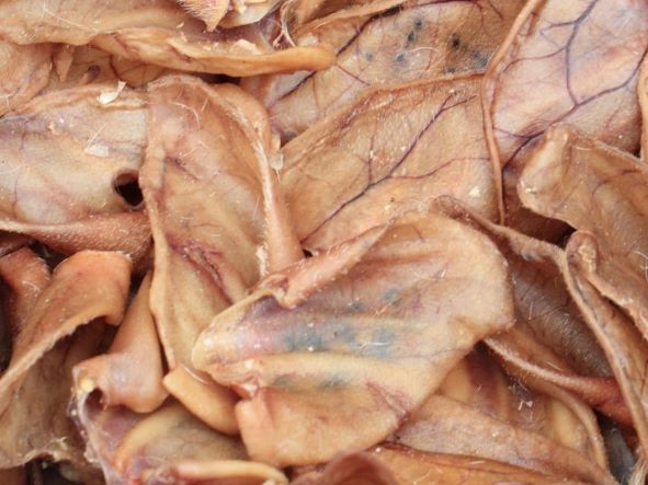 What are pig ears for dogs and what are their benefits?
